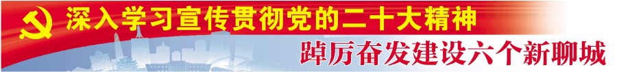 深入学习宣传贯彻党的二十大精神踔厉奋发建设六个新聊城.jpg